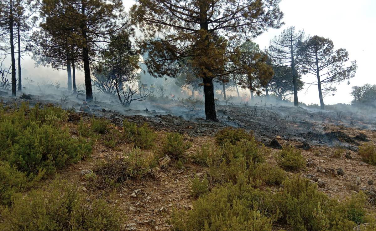 Última hora de los incendios en Andalucía: declarado nuevo fuego en Granada y desalojan a más vecinos en Huelva