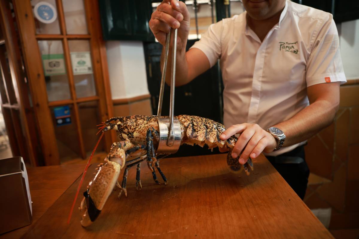 Restaurante Poma Bajo Guia - JUAN CARLOS TORO Restaurante Poma Bajo Guia