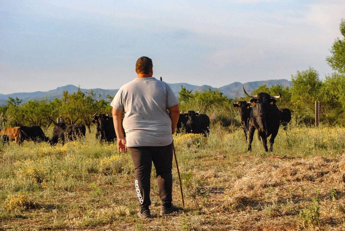 Muere el joven ganadero Luis López mientras buscaba a varios de sus toros que se habían escapado