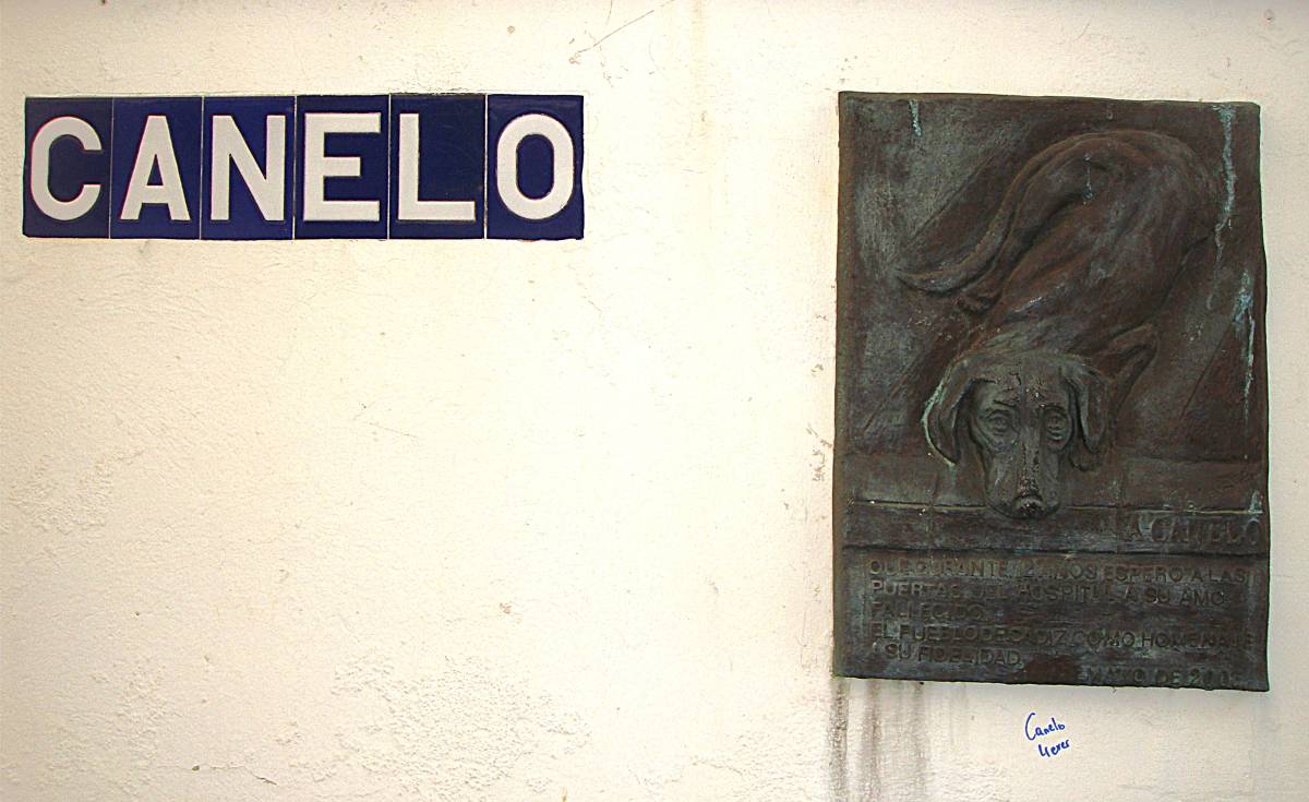 Placa homenaje a Canelo, con grafiti incorporado. - Placa homenaje a Canelo, con grafiti incorporado.