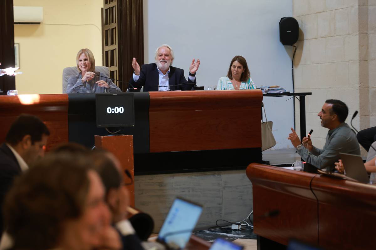 Pleno basura Jerez - JUAN CARLOS TORO Pleno basura Jerez