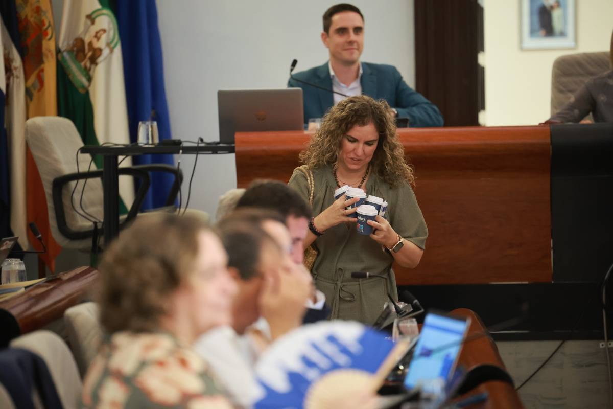 Pleno debate estado de la ciudad 