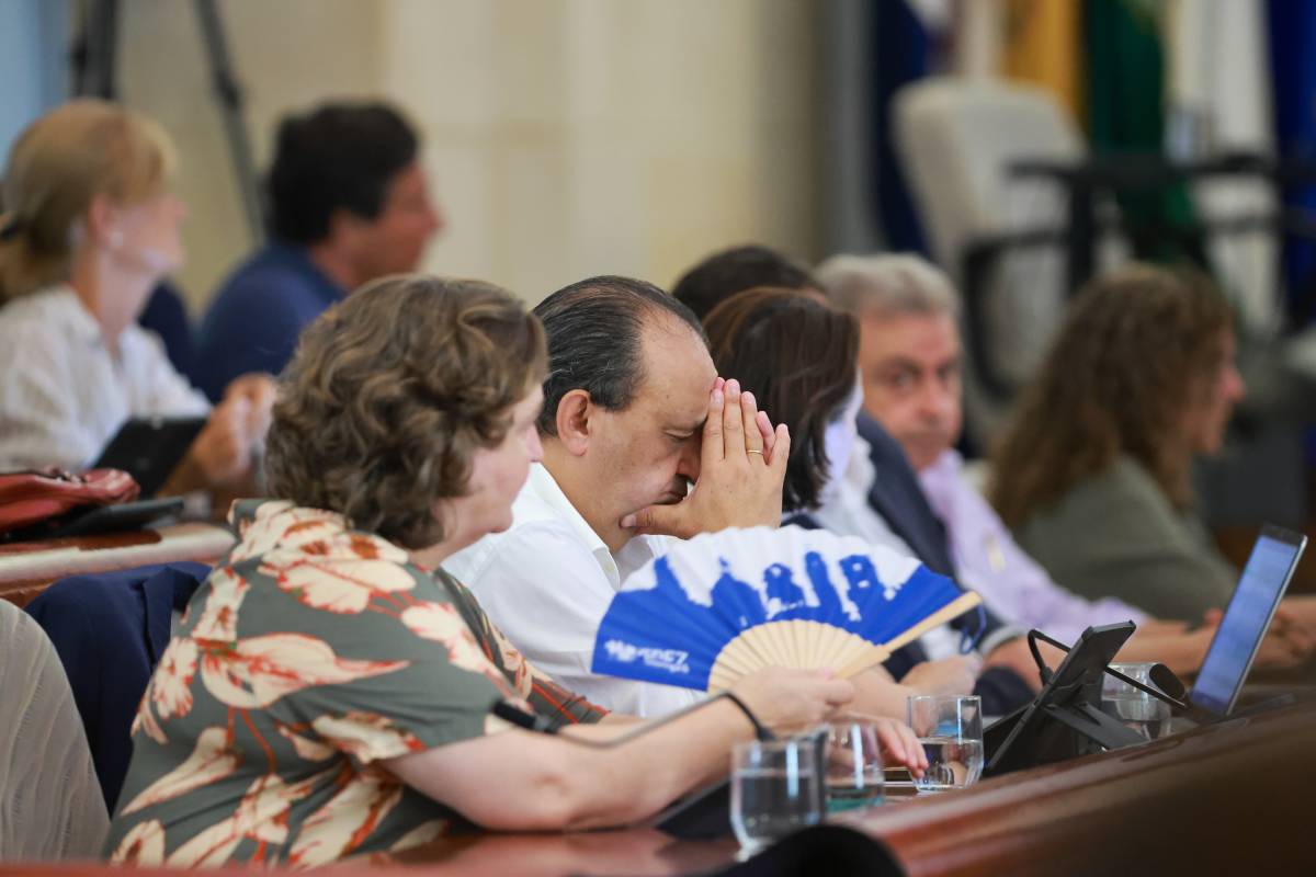 Debate sobre el Estado de Jerez y la importancia del plan de poda: ¿qué Debate, qué Estado, qué Ciudad?