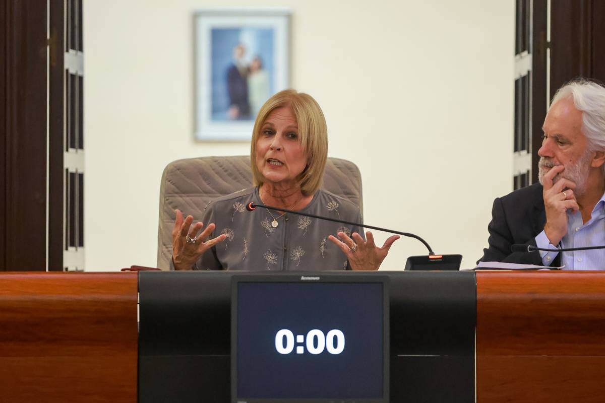Pleno debate estado de la ciudad 