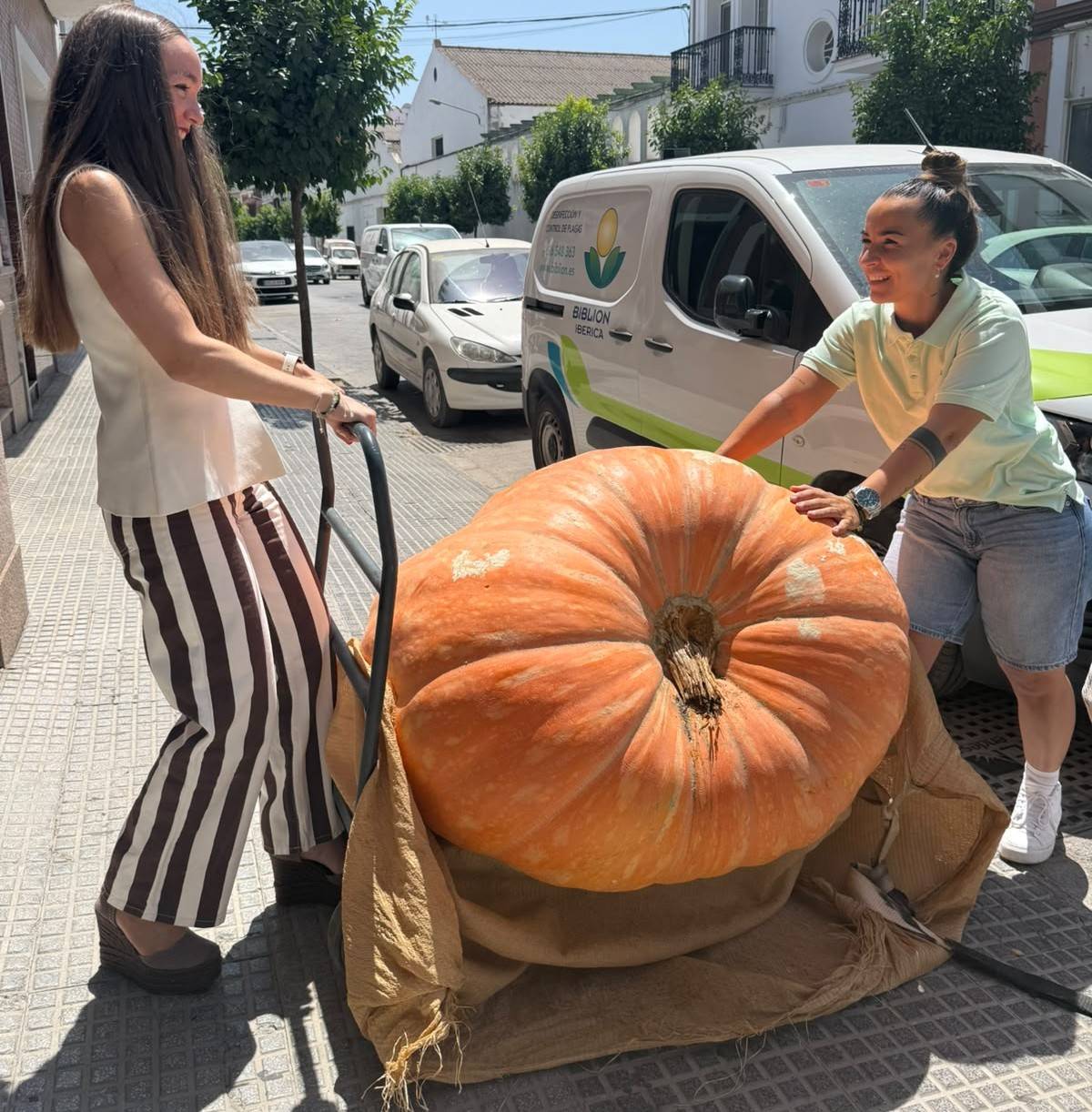 Las hermanas Rodríguez Caballero, con uno de sus ejemplares de calabazas gigantes. - Las hermanas Rodríguez Caballero, con uno de sus ejemplares de calabazas gigantes.