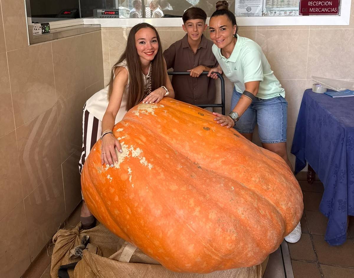 Una calabaza de 300 kilos deja a toda Sevilla con la boca abierta