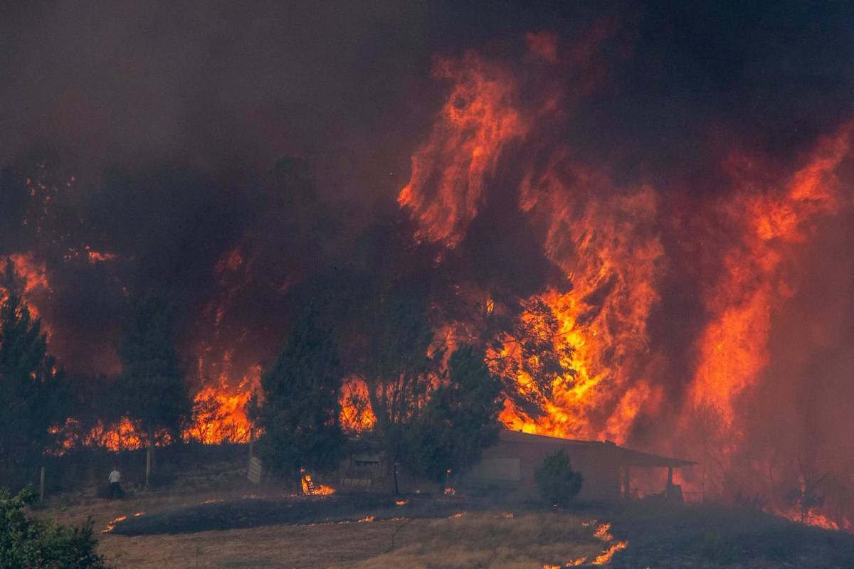 Madrid y Ávila afrontan ya un único gran incendio: más de 20.000 hectáreas quemadas y 88.620 vecinos afectados
