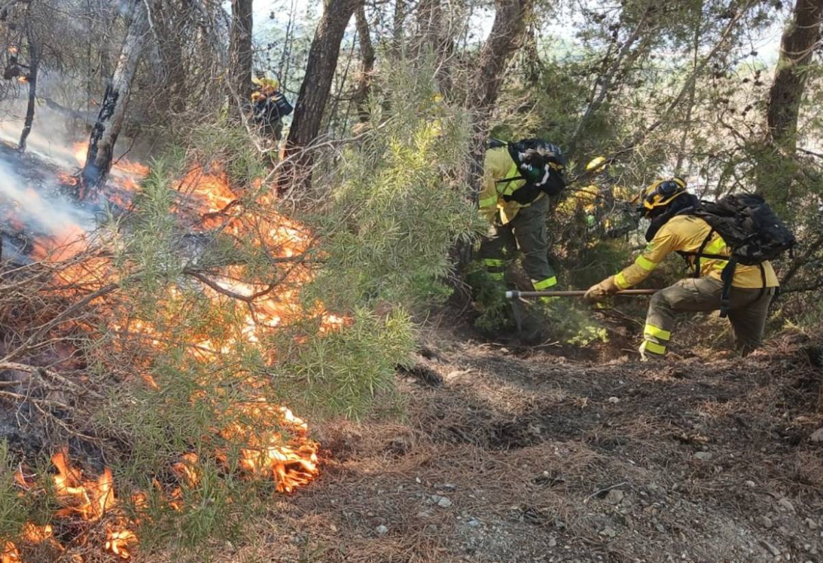 Domingo negro para el monte andaluz: encadena incendios en Málaga, Almería y Jaén