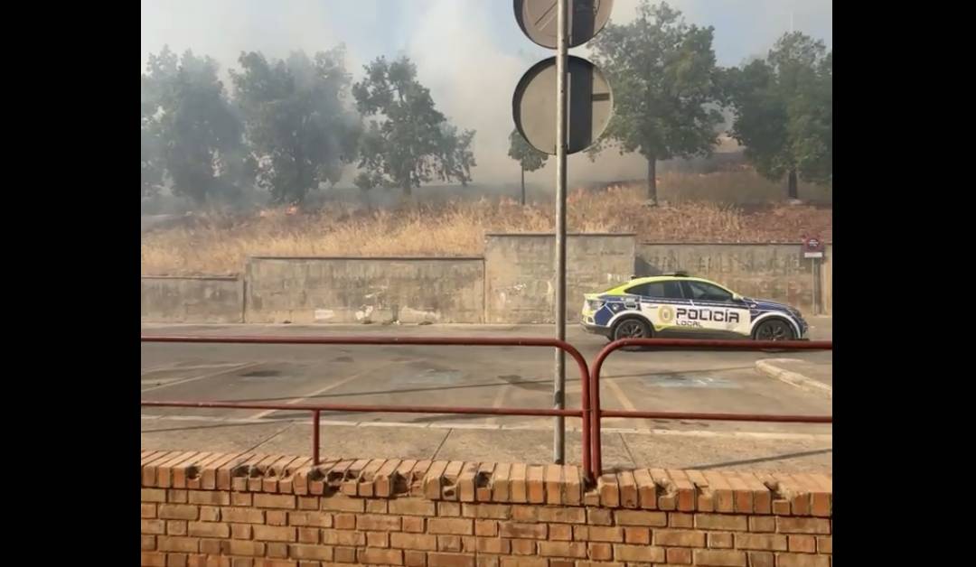 Incendio de pasto en un parque de la zona sur en Jerez, cerca de los bloques de San Telmo nuevo y Estancia Barrera