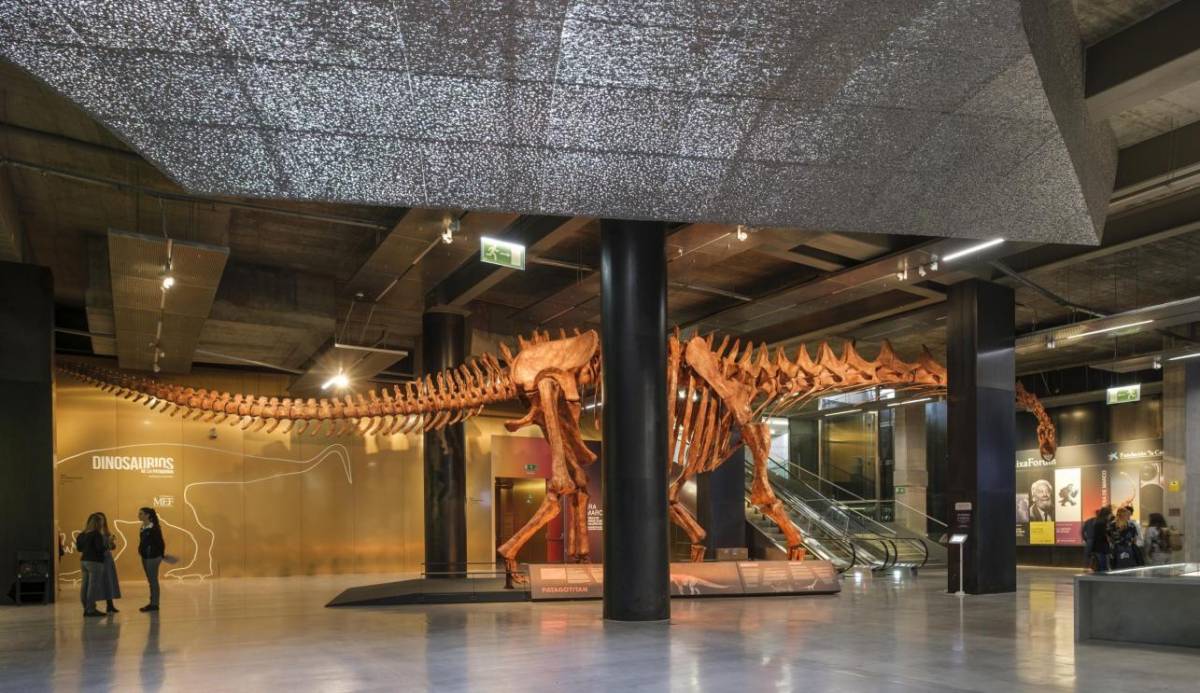 El esqueleto de Patagotitan mayorum está instalado en el hall de CaixaForum Sevilla. - 