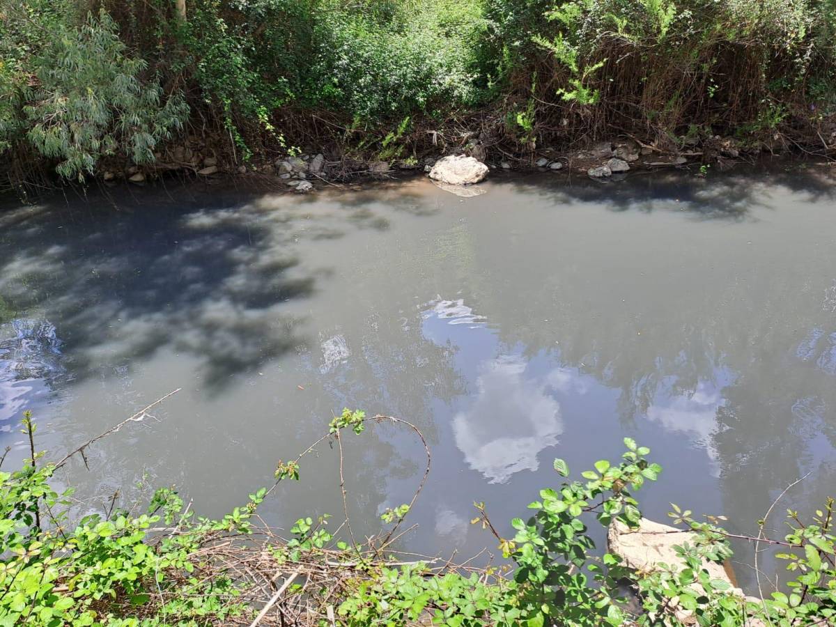 Cuatro depuradoras de la Sierra de Cádiz vierten aguas muy contaminadas a ríos que abastecen a ciudades