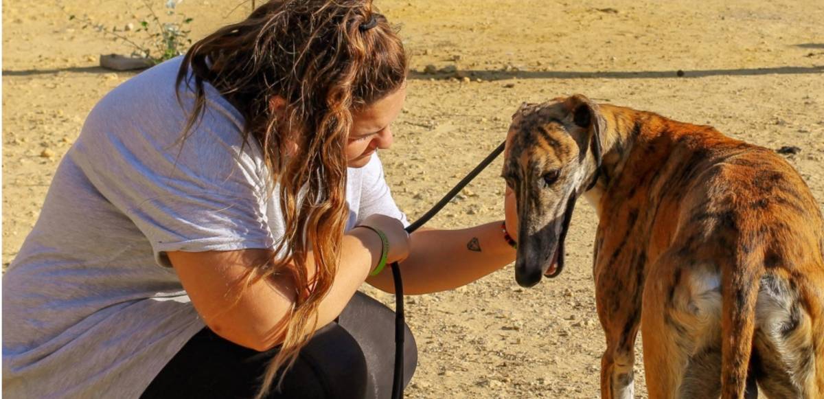 La asociación palaciega pide voluntarios a gritos porque la tarea es inmensa. - La asociación palaciega pide voluntarios a gritos porque la tarea es inmensa.
