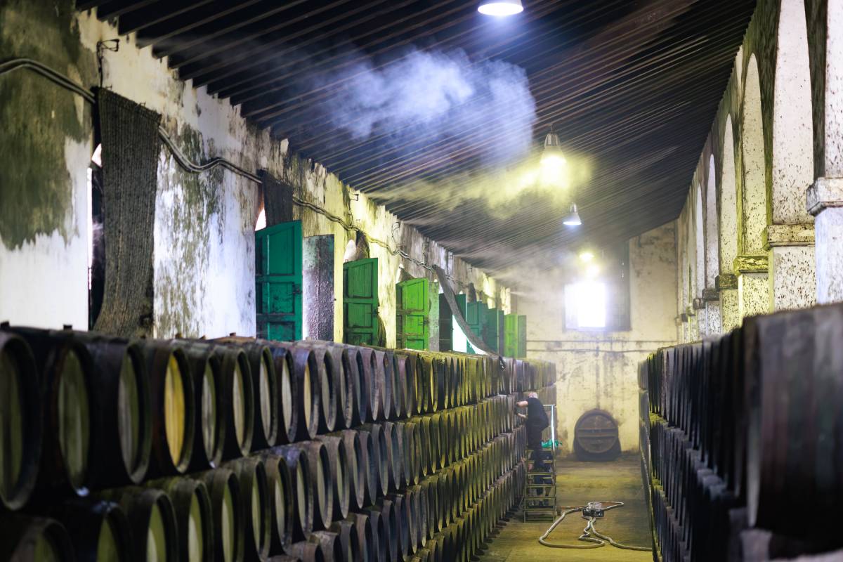 Agua (y algo más) contra el calentamiento global en las bodegas del Marco de Jerez