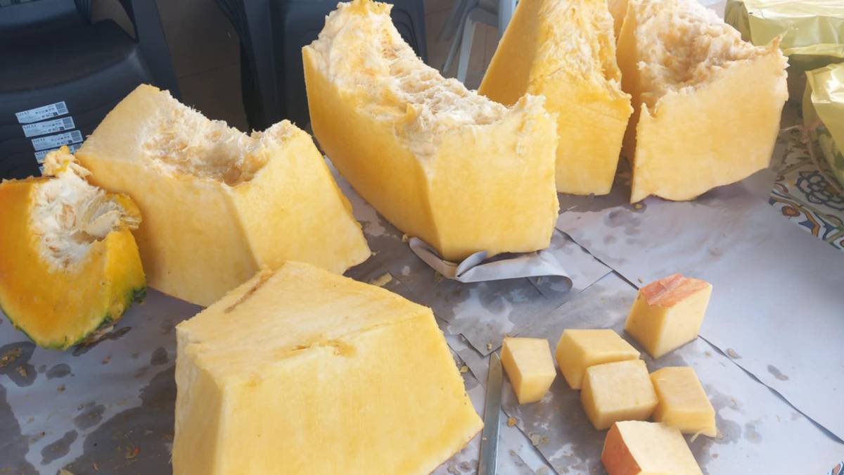 Partes de la calabaza de Aurora y Rosa ya troceadas. - Partes de la calabaza de Aurora y Rosa ya troceadas.