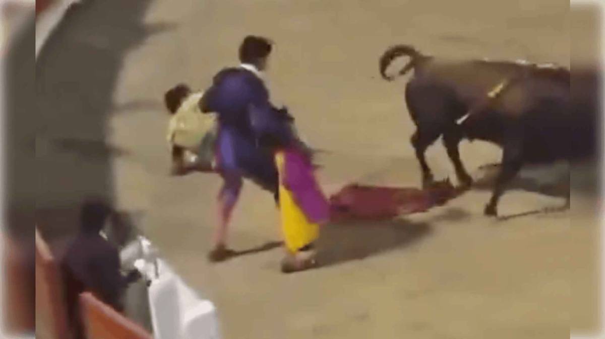 Morante de la Puebla, herido tras una cogida en Palma: su presencia en El Puerto, en el aire