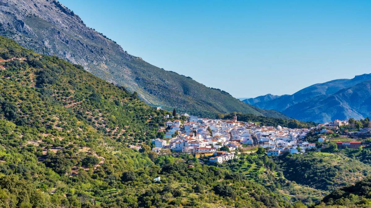 Un año de tiza, setas, alcornocales y nuevos comienzos: mi experiencia como maestra rural en Cortes de la Frontera
