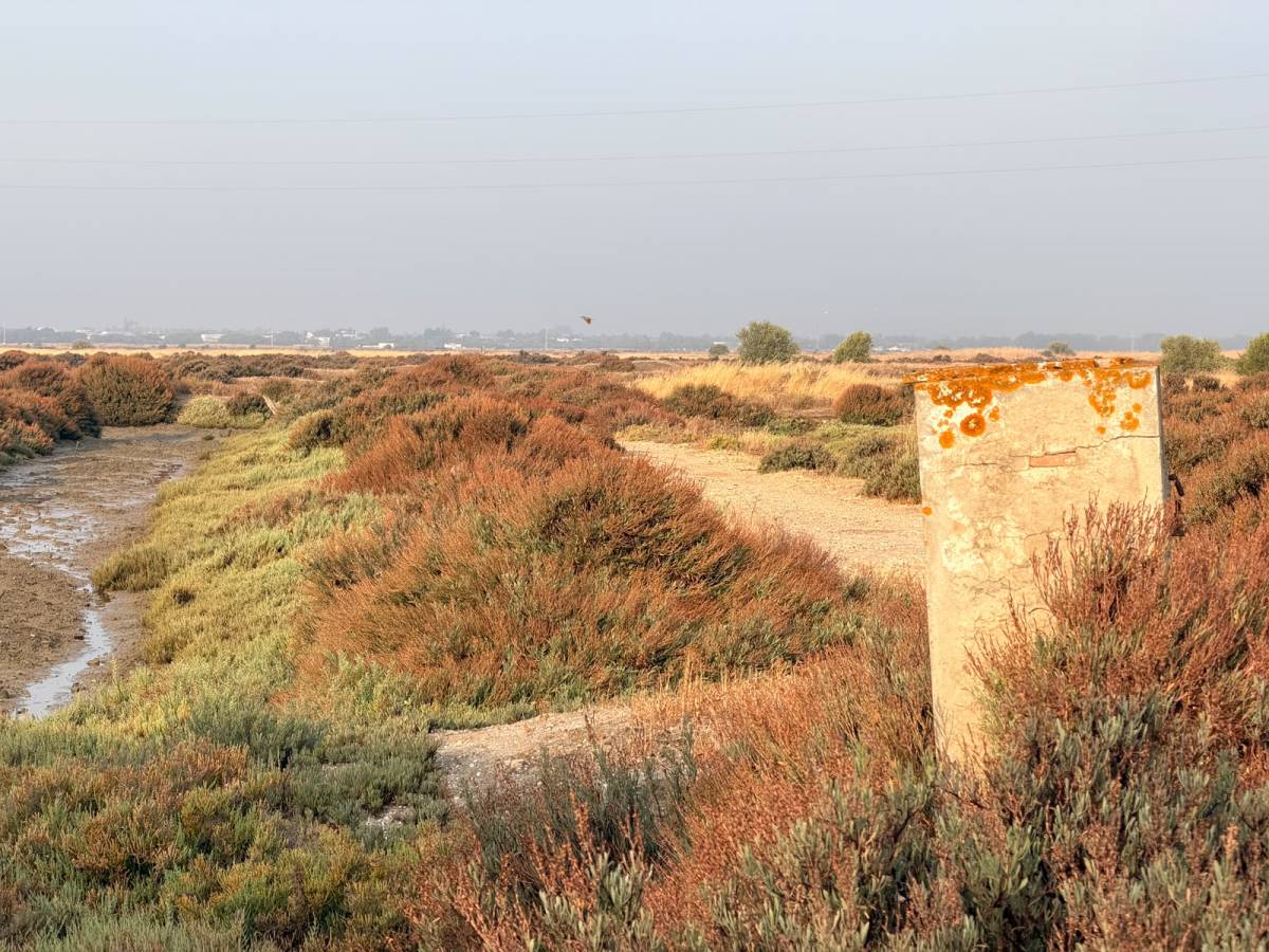 La Zona Franca de Cádiz recuperará una gran salina en Chiclana de 280.000 metros cuadrados