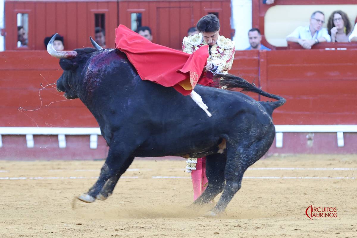 La corrida de toros de este 2 de agosto en El Puerto, con Morante de la Puebla, Roca Rey y Pablo Aguado. - CIRCUITOS TAURINOS La corrida de toros de este 2 de agosto en El Puerto, con Morante de la Puebla, Roca Rey y Pablo Aguado.