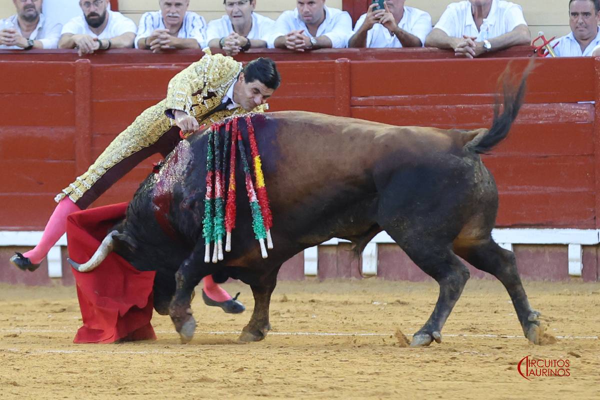 La corrida de toros de este 2 de agosto en El Puerto, con Morante de la Puebla, Roca Rey y Pablo Aguado. - CIRCUITOS TAURINOS La corrida de toros de este 2 de agosto en El Puerto, con Morante de la Puebla, Roca Rey y Pablo Aguado.
