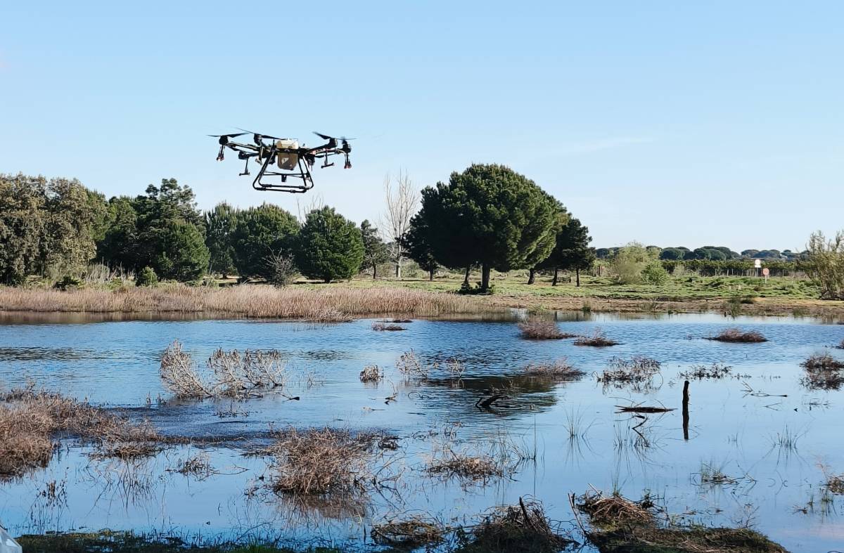 La Diputación de Sevilla intensifica el control de mosquitos tras el aumento de casos de virus del Nilo