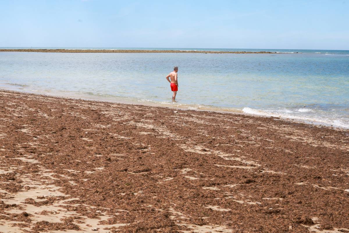 La Junta prohíbe el baño en cinco playas de El Puerto, Chipiona, Rota y Puerto Real por la presencia de bacterias en el agua