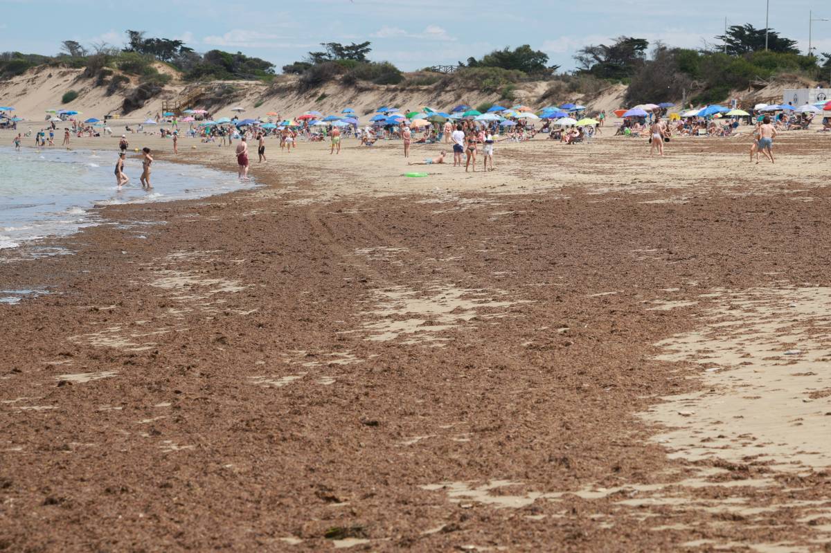 La Junta toma nuevas muestras en las playas cerradas por la presencia de bacterias en el mar pero no da fecha para la reapertura