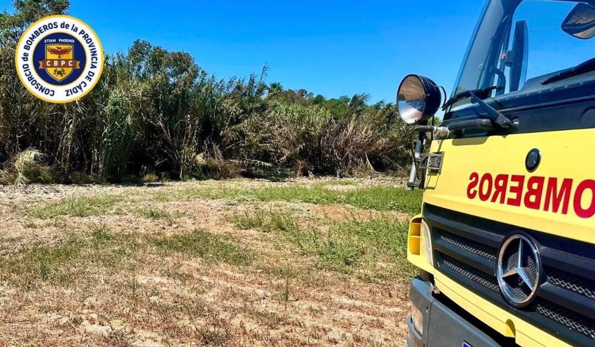 Un incendio amenaza varias viviendas en Chiclana tras quemar 10.000 metros cuadrados - Un incendio amenaza varias viviendas en Chiclana tras quemar 10.000 metros cuadrados