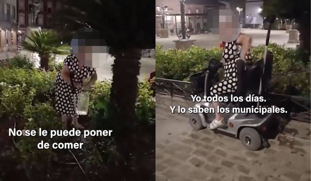 Fuerte debate en redes por una mujer con movilidad reducida retirando agua de una colonia de gatos en Jaén: 