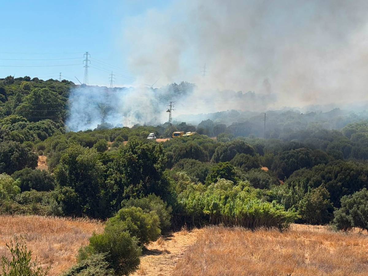 Desalojos de viviendas en San Roque por el incendio forestal: piden en el entorno cerrar ventanas y mucha precuación
