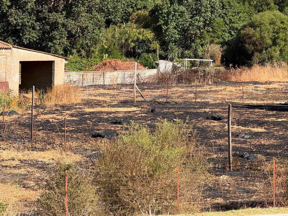 Una familia se queda sin hogar en el incendio de San Roque: el fuego calcina una de las 19 viviendas desalojadas