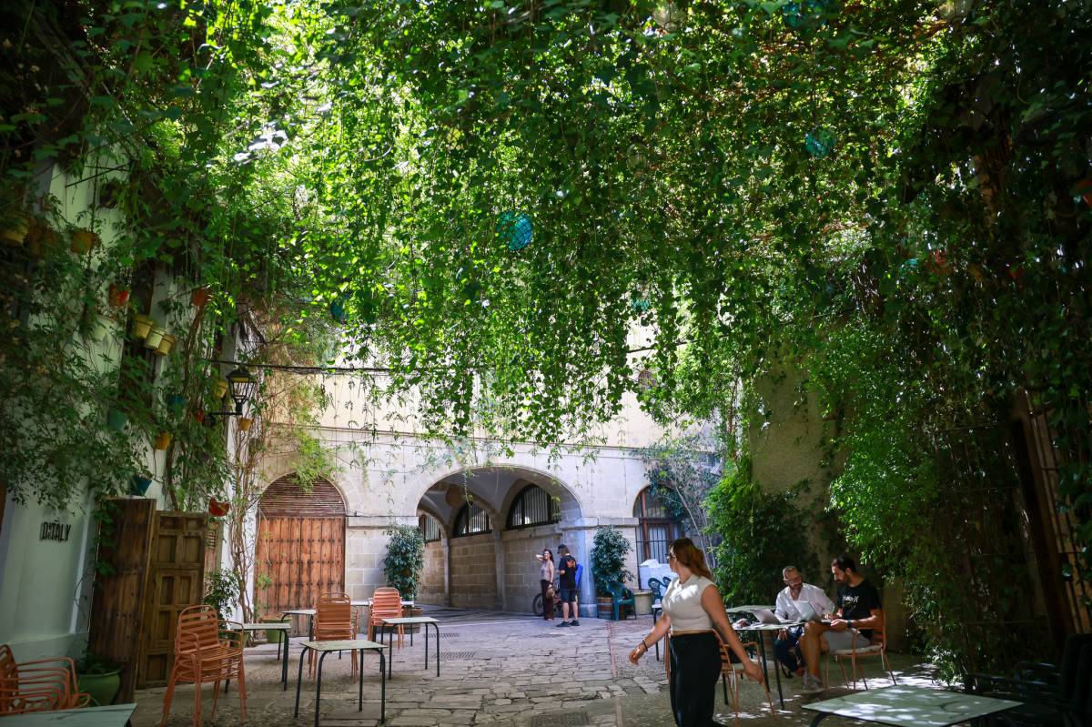 'Baño verde' en la calle más fresca de Jerez en agosto: negocios icónicos, arte contemporáneo y comida típica jerezana o italiana bajo un vergel