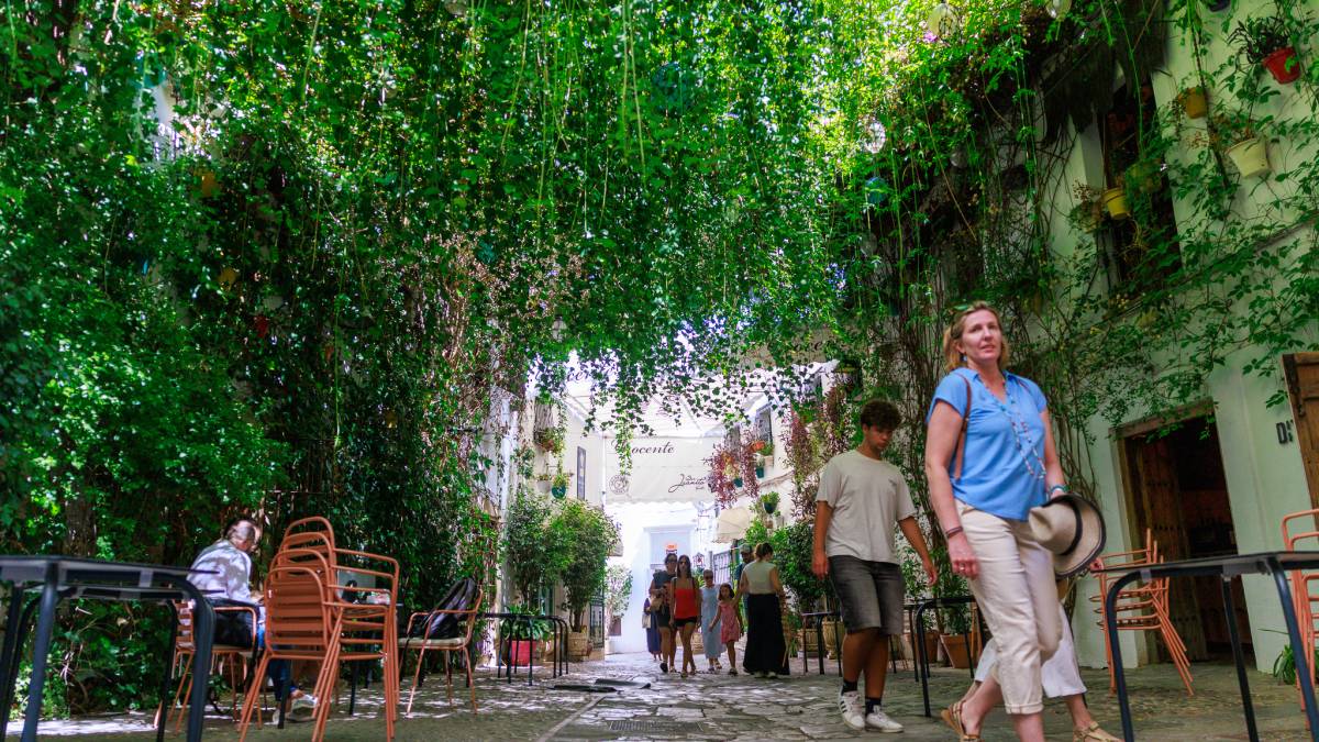 'Baño verde' en la calle más fresca de Jerez en agosto: negocios icónicos, arte contemporáneo y comida típica jerezana o italiana bajo un vergel