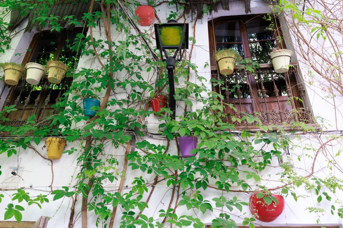 Calle Pescadería vieja Jerez 