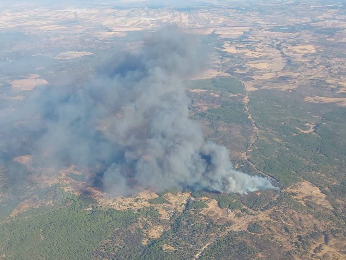 Vista aérea del incendio en Niebla.