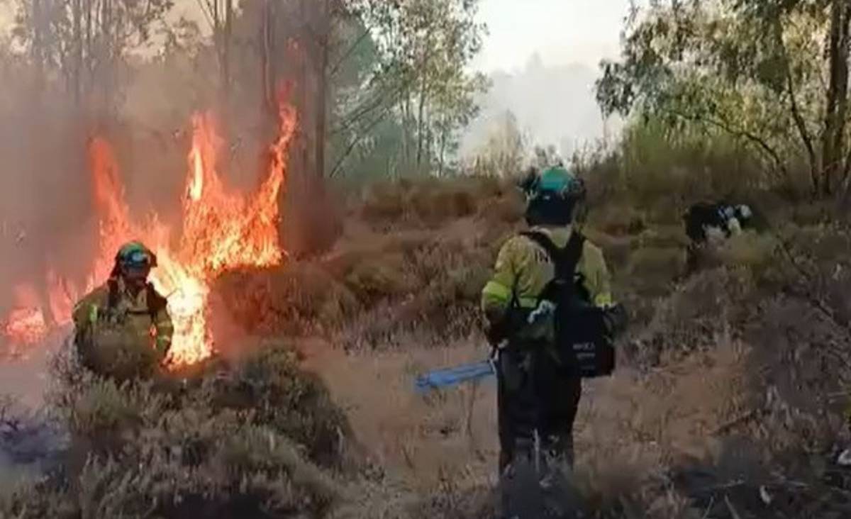 Una colilla, posible origen del incendio de Niebla: la vegetación y el viento complican el control de las llamas
