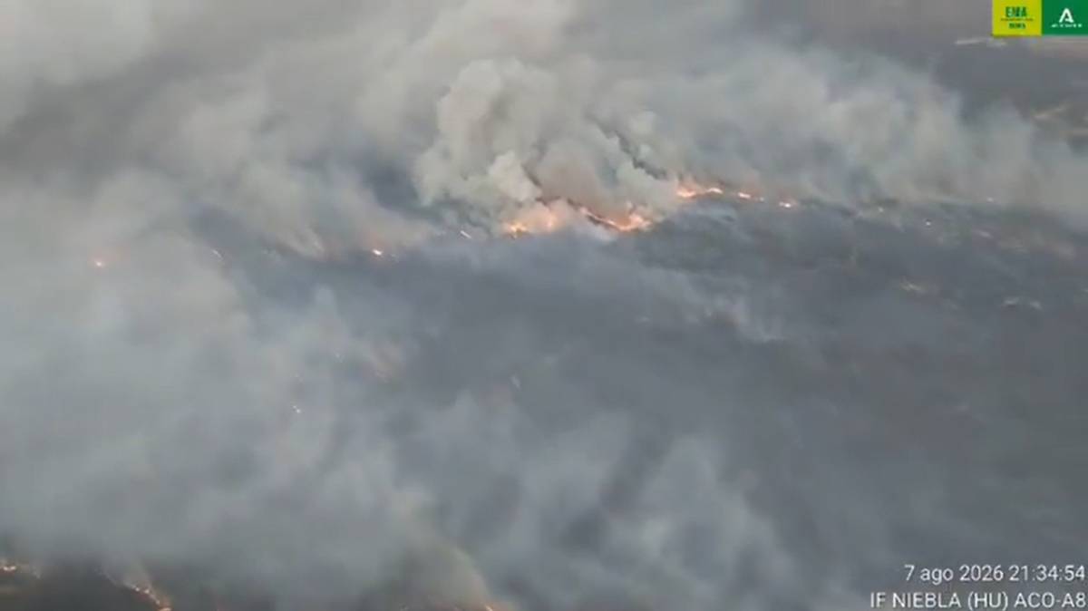 Vista aérea del incendio de Niebla. - 