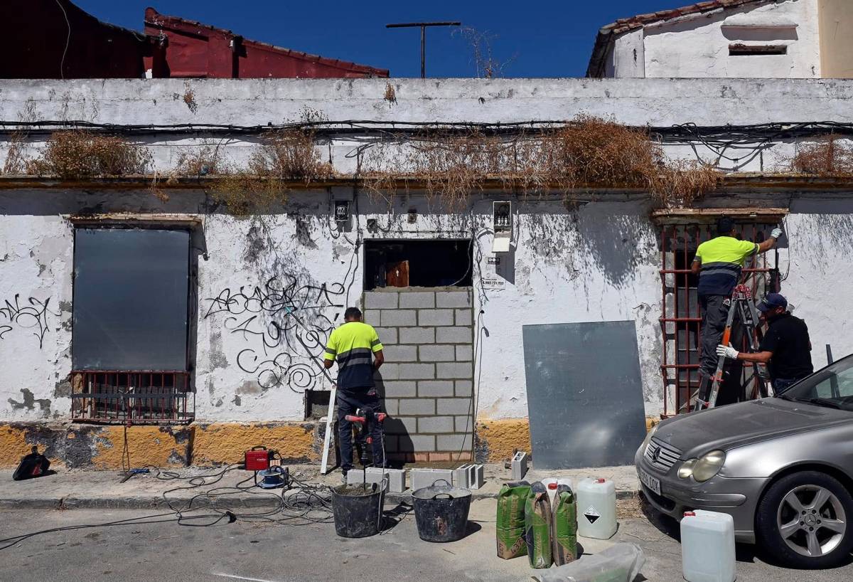 Una plaga de ratas en un solar abandonado en el centro de Jerez pone en jaque a los vecinos de La Albarizuela