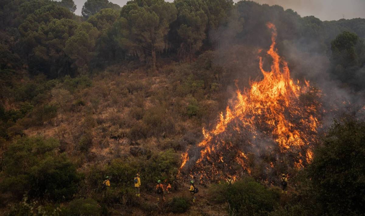 El incendio de Niebla supera ya las 20.000 hectáreas en Huelva, sin llegar a Sevilla: 