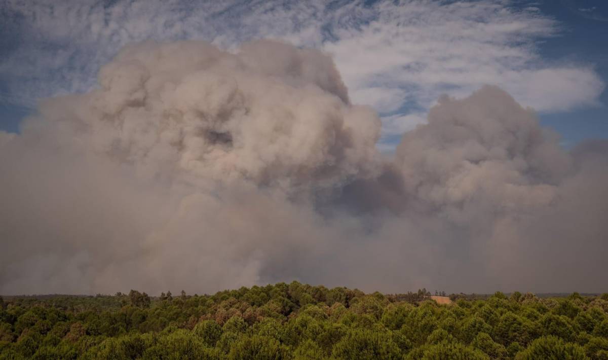El incendio de Niebla, en Huelva, fuera de la capacidad de extinción. - El incendio de Niebla, en Huelva, fuera de la capacidad de extinción.