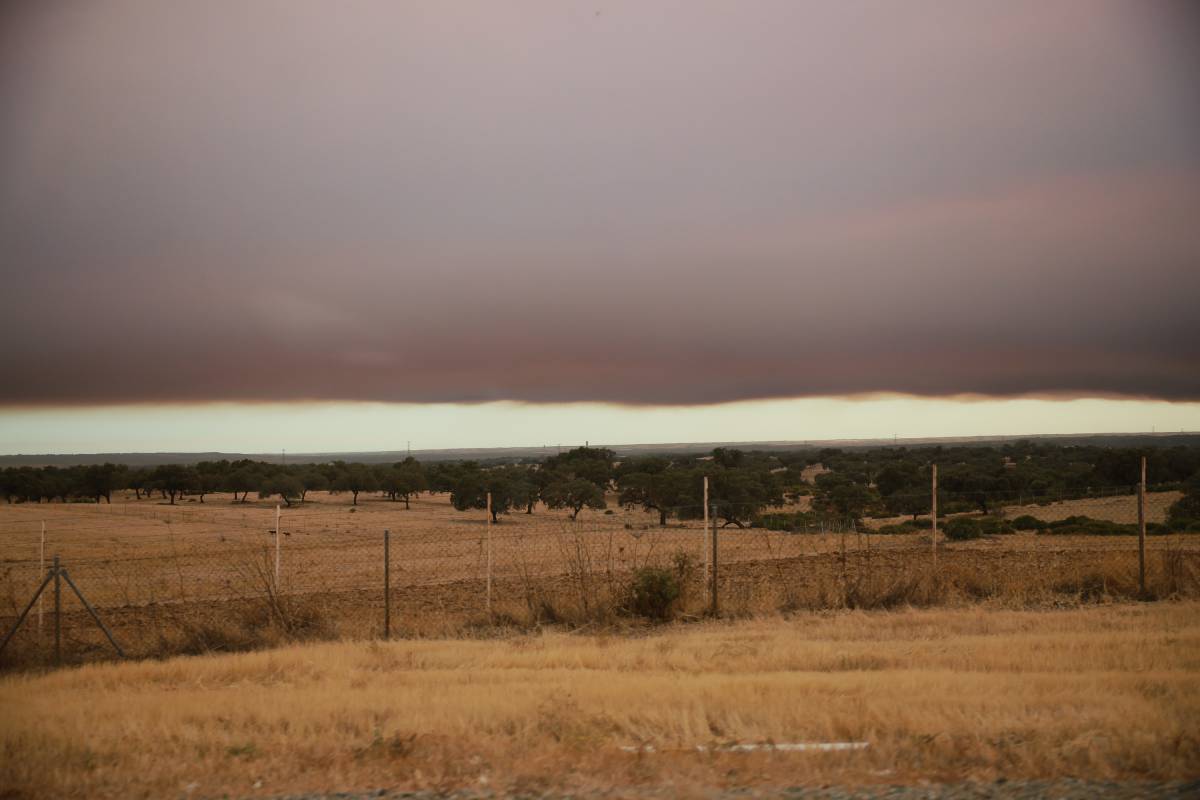 incendio Niebla Huelva, visto desde carretera de Sevilla - JUAN CARLOS TORO incendio Niebla Huelva, visto desde carretera de Sevilla