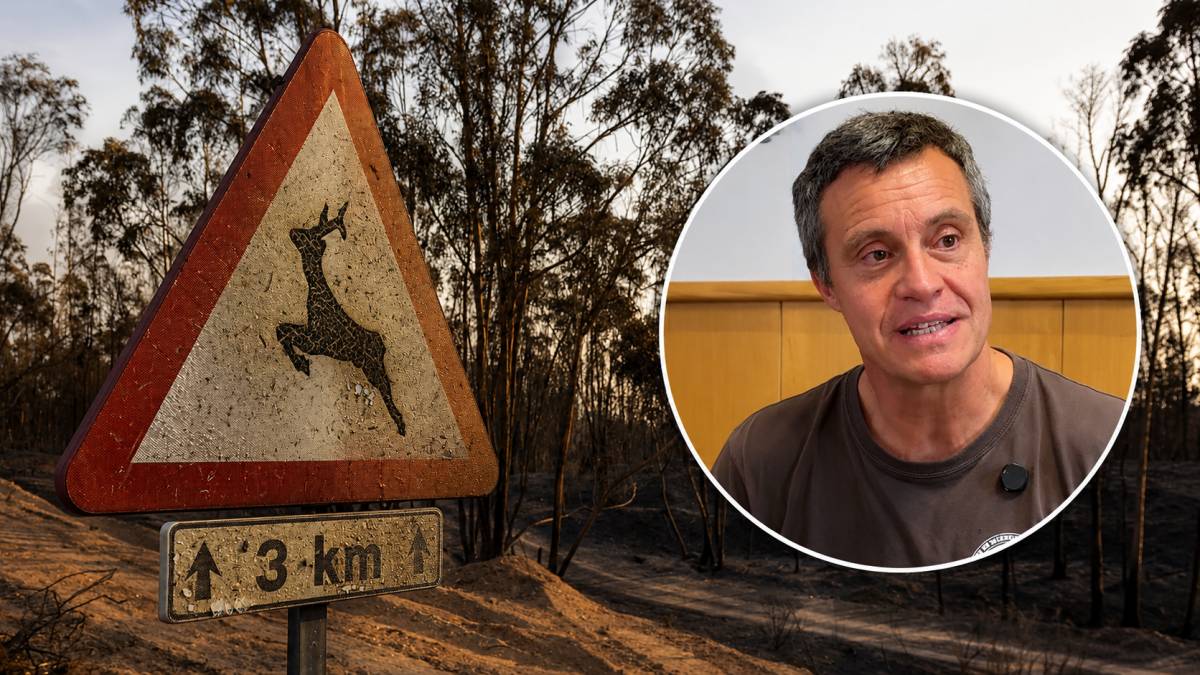 Un experto nacional alerta sobre el macroincendio de Niebla: 