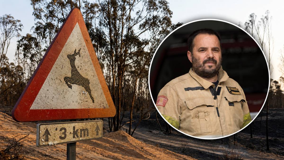 Un experto nacional alerta sobre el macroincendio de Niebla: 