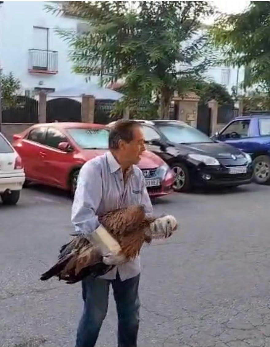 Antonio García, tras el rescate del buitre leonado. - Antonio García, tras el rescate del buitre leonado.
