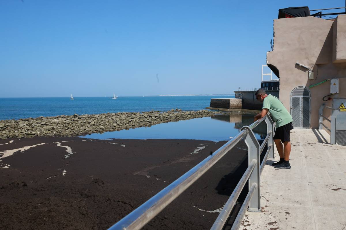 Calachica vecinos Punta San Felipe Cádiz 