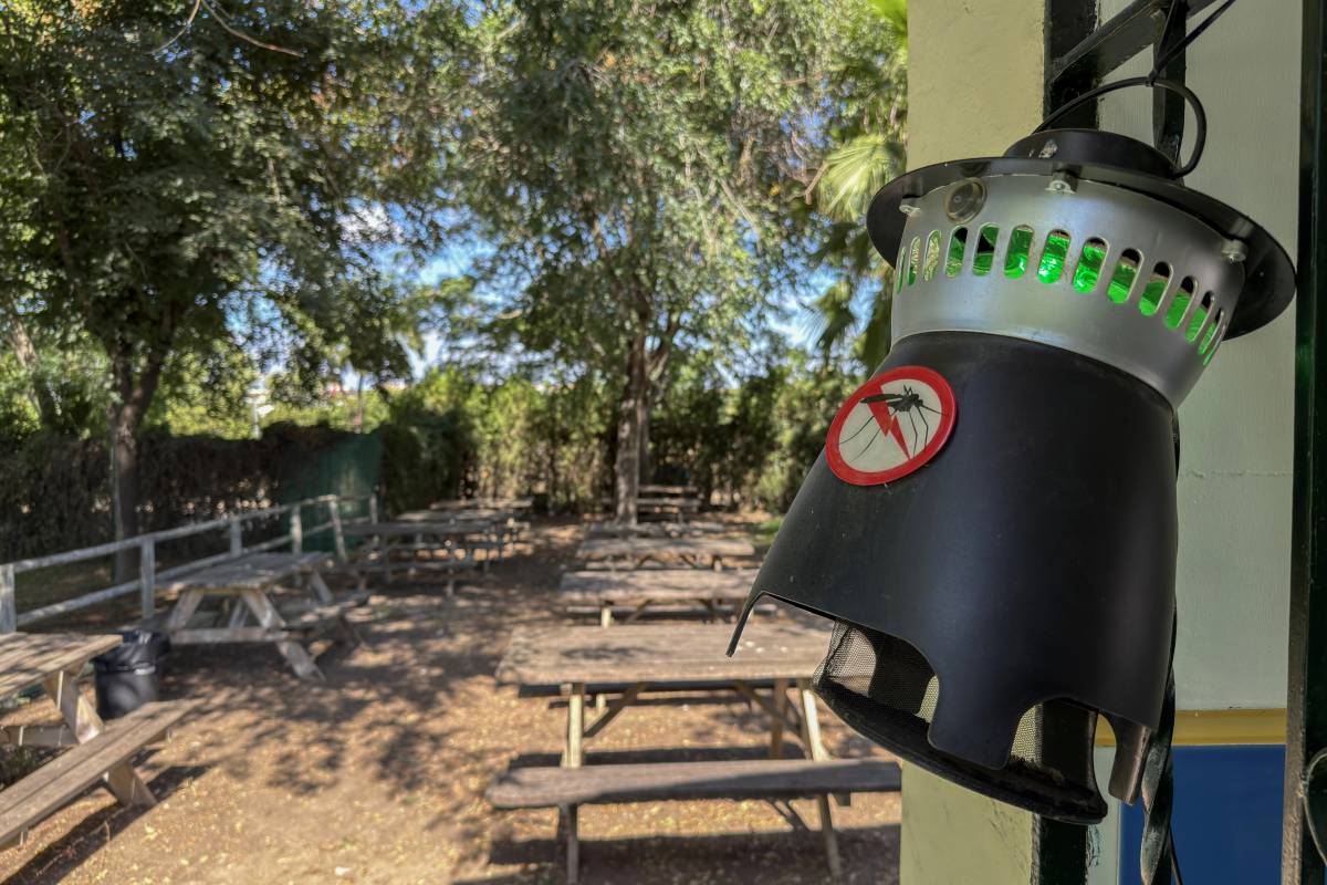 Atención a patios, jardines y desagües: Jerez lanza alertas y redobla la vigilancia por el virus del Nilo