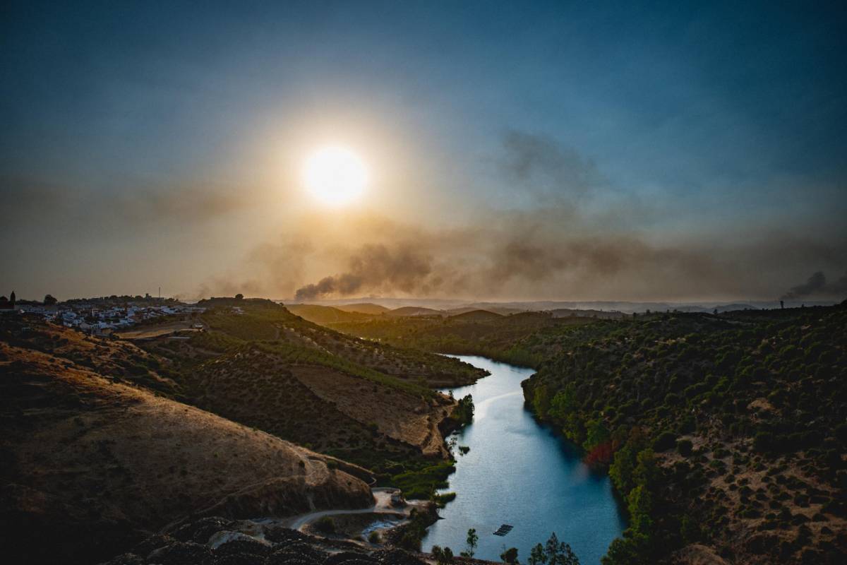 Andalucía prepara un plan para reducir los eucaliptos tras el macroincendio de Niebla: 