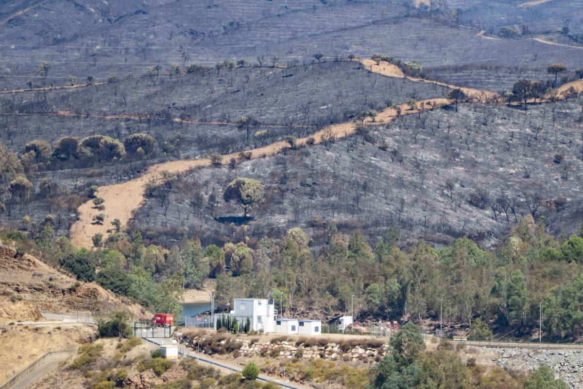 Incendio de Niebla: la Junta autoriza el regreso de otros 154 vecinos tras el primer día sin avance de las llamas