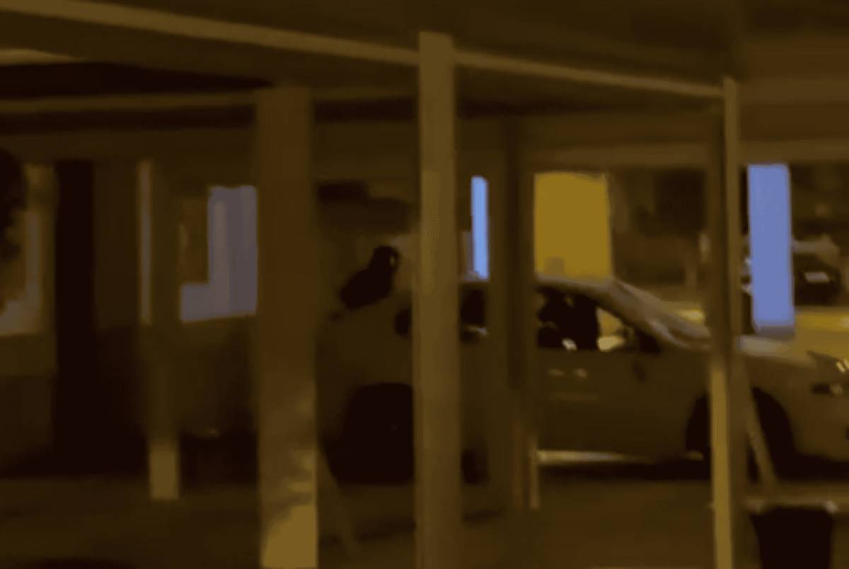 Indignación en Los Palacios por una oleada de atracos: 