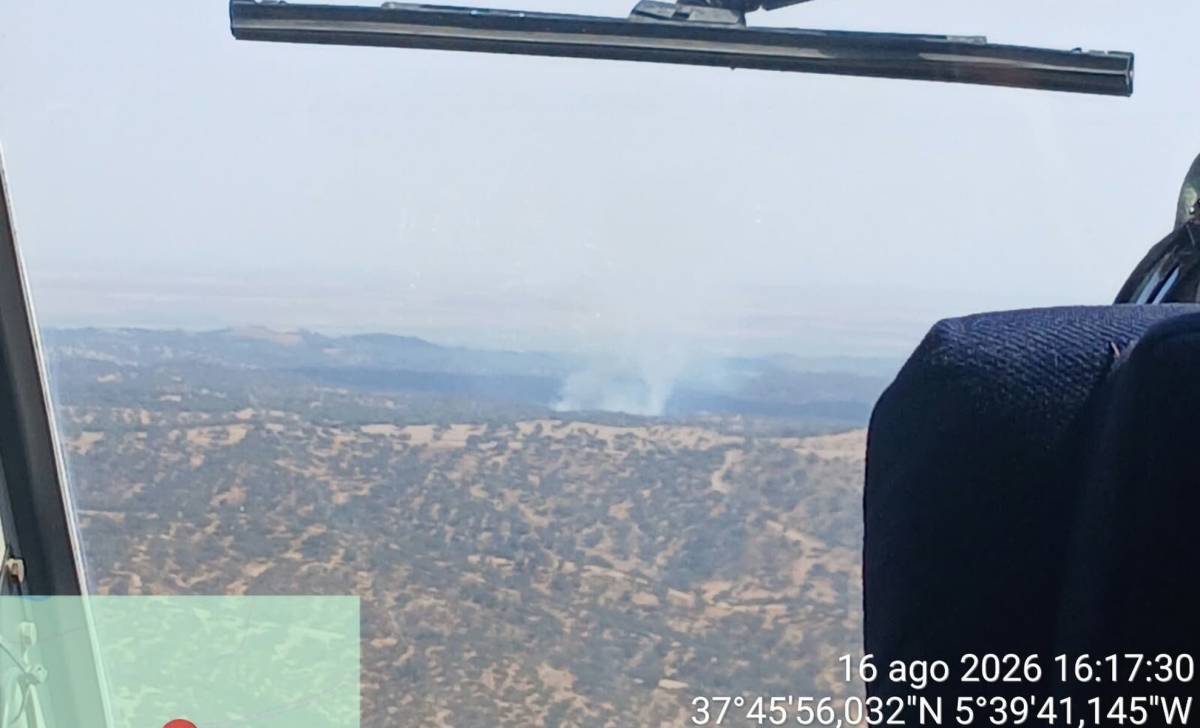 El fuego vuelve a golpear Sevilla, muy cerca de una de sus carreteras: amplio despliegue en Villanueva del Río y Minas