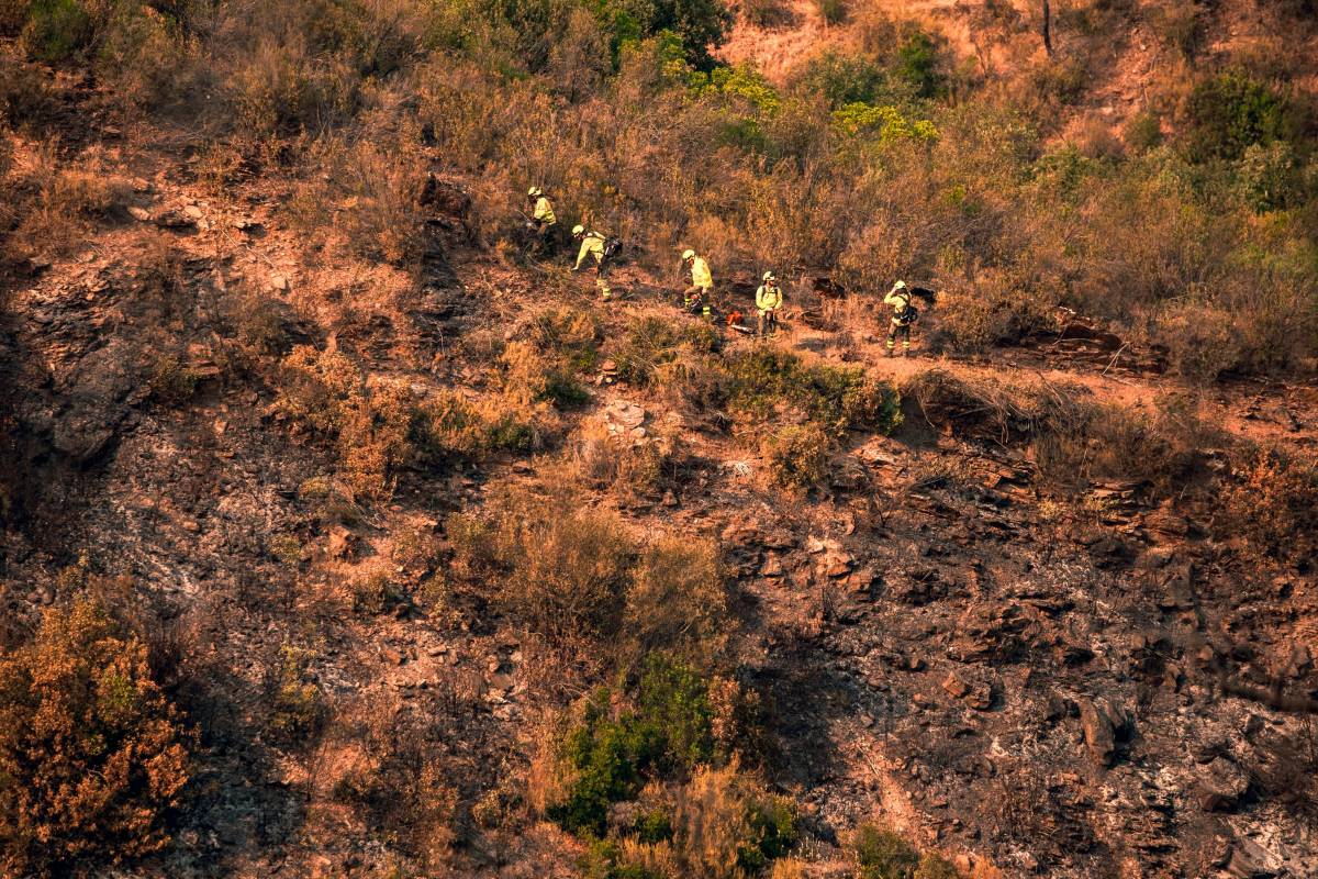 La destrucción casi total y los 'milagros' en el interior: hay islas intactas en el incendio de Niebla, que suma 33.000 hectáreas quemadas